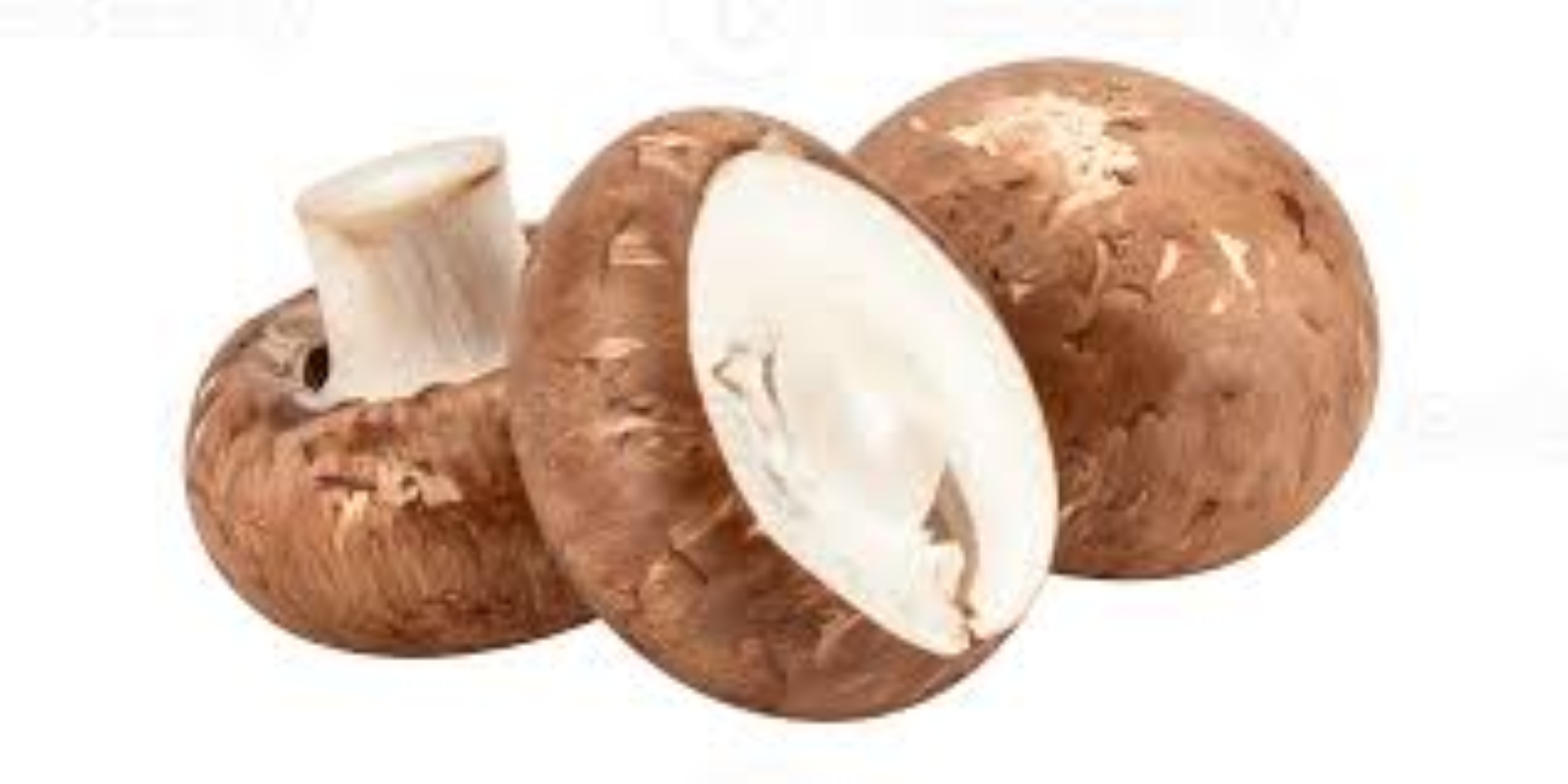 FRESH PORTABELLA MUSHROOM